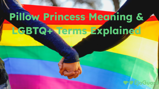 Pillow Princess Meaning & LGBTQ+ Terms Explained