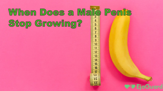When Does a Male Penis Stop Growing?