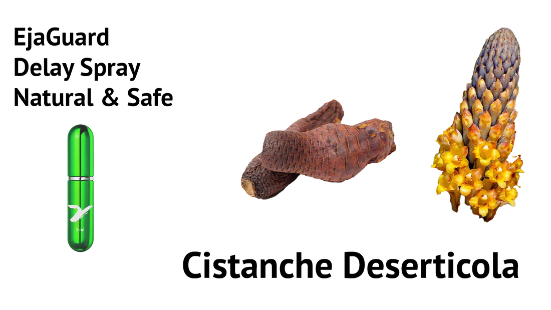 Cistanche Deserticola, with Natural and Safe solutions to Premature Ejaculation: EjaGuard Delay Spray.