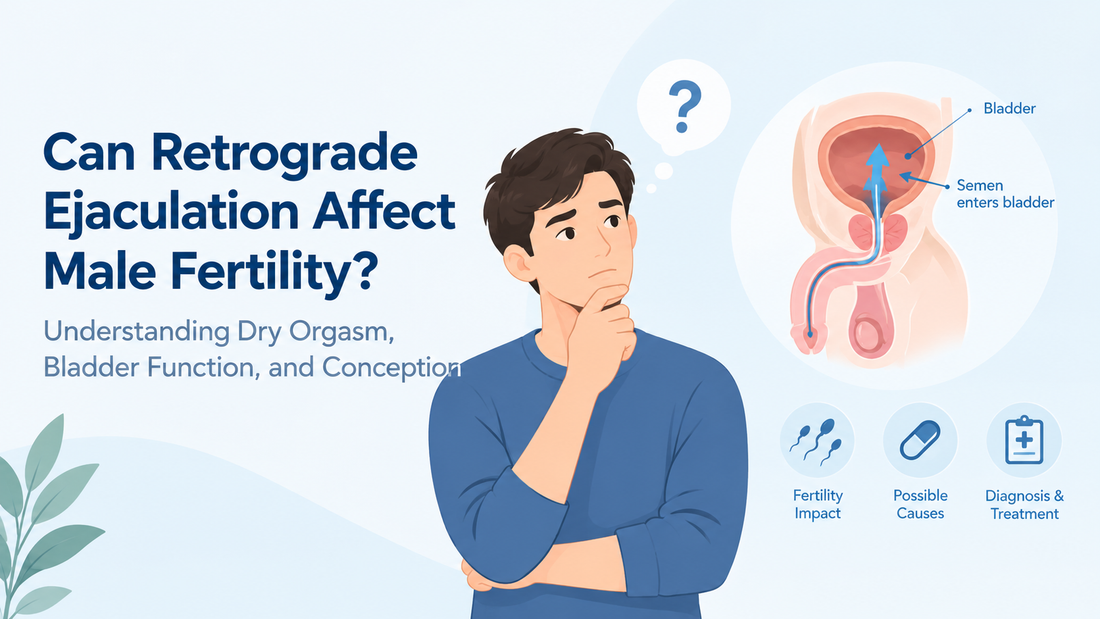 Can Retrograde Ejaculation Affect Male Fertility? Understanding Dry Orgasm, Bladder Function, and Conception