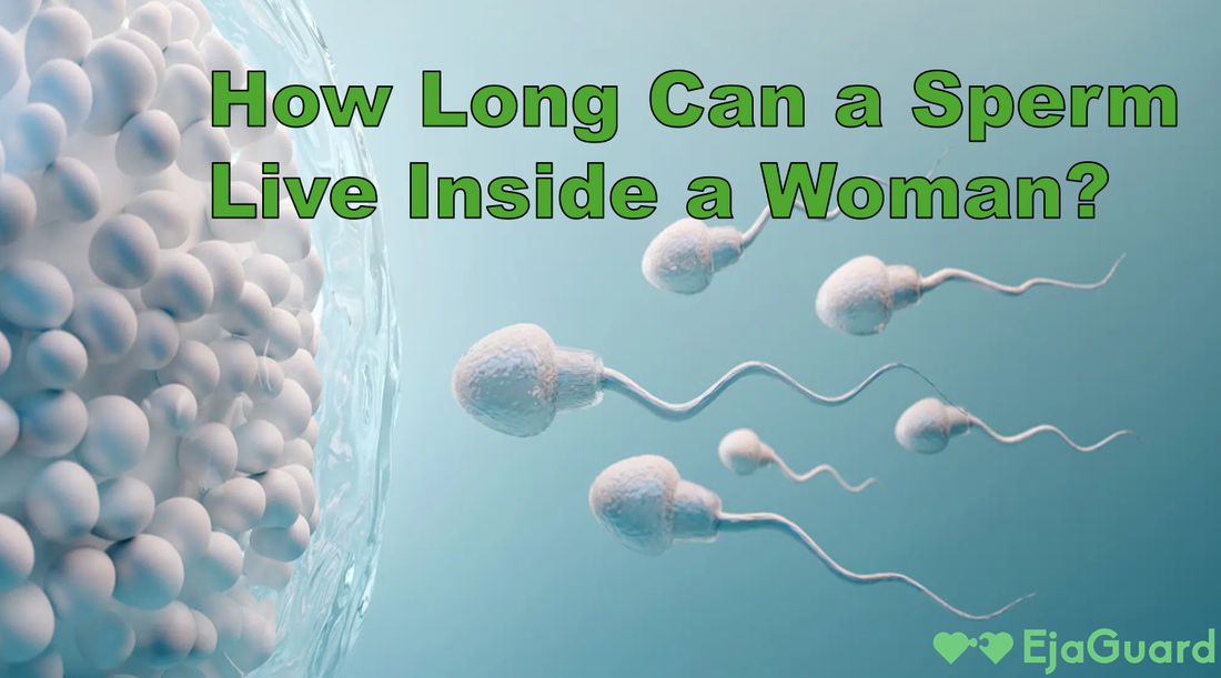 How Long Can a Sperm Live Inside a Woman? Fertility, Survival, and Pregnancy Chances