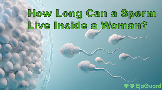 How Long Can a Sperm Live Inside a Woman? Fertility, Survival, and Pregnancy Chances