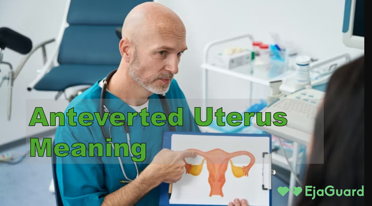 Anteverted Uterus Meaning