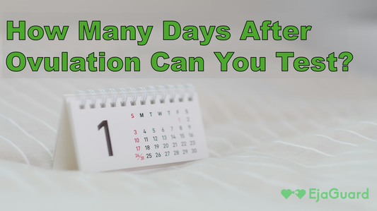 How Many Days After Ovulation Can You Test?