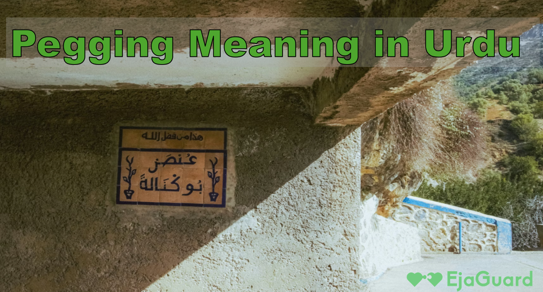 Pegging Meaning in Urdu with Clear Explanation Cultural Context and Examples