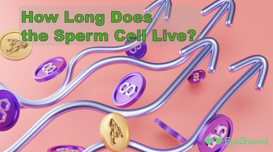 How Long Does the Sperm Cell Live? Lifespan Inside & Outside the Body Explained