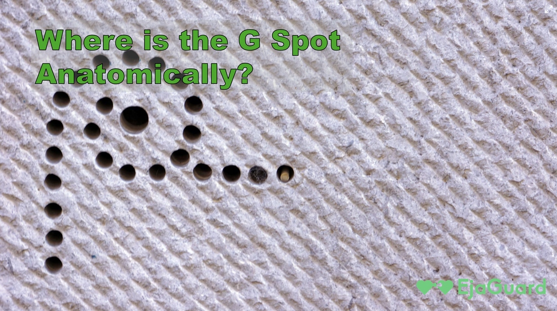 Where is the G Spot Anatomically? A Clear Guide to Female Pleasure Points