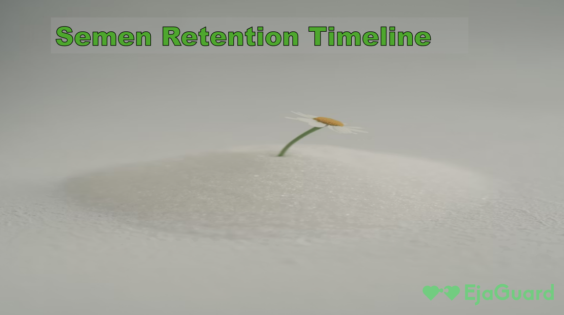 Semen Retention Timeline: What Happens at 1, 7, 30, and 90 Days