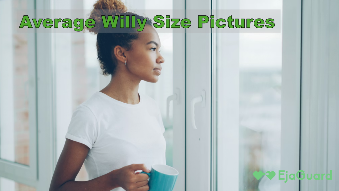 Average Willy Size Pictures: What They Show (and What Really Matters)