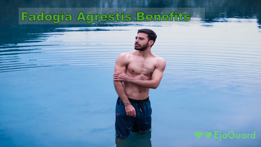 Fadogia Agrestis Benefits: A Natural Boost for Men’s Health