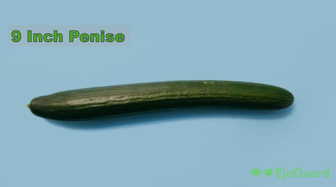 9 Inch Penise: Myths, Facts & What You Really Need to Know