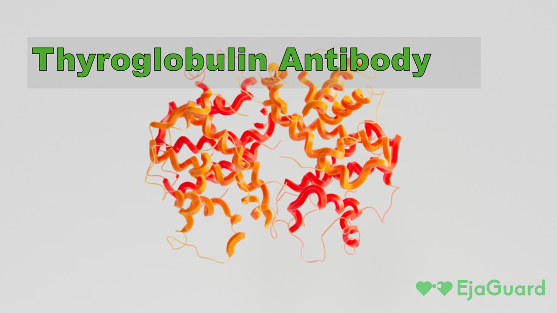 Thyroglobulin Antibody: What It Means, Why It’s Tested, and How to Understand Your Results