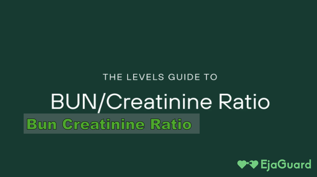 Normal Bun Creat Bun Creatinine Ratio: Normal Range, High Causes – EjaGuard