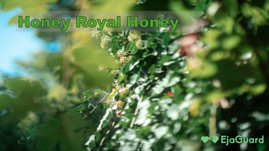 Honey Royal Honey: Benefits, Risks, and Safer Alternatives for Men