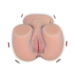 Xingse 1pc Vibrating Sex Doll Male Masturbator, With 3 Speeds and 7 Fr EjaGuard Xingse 1pc Vibrating Sex Doll Male Masturbator, With 3 Speeds and 7 Fr EjaGuard